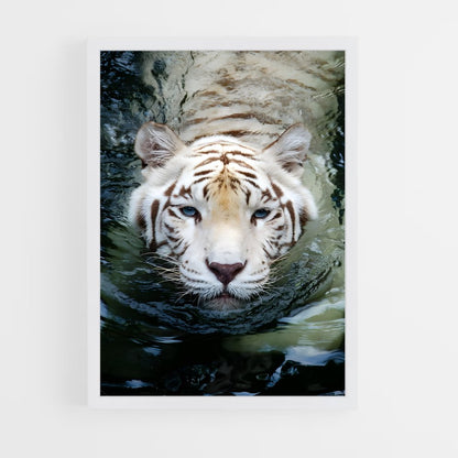 ap-white tiger-15 cadre Blanc