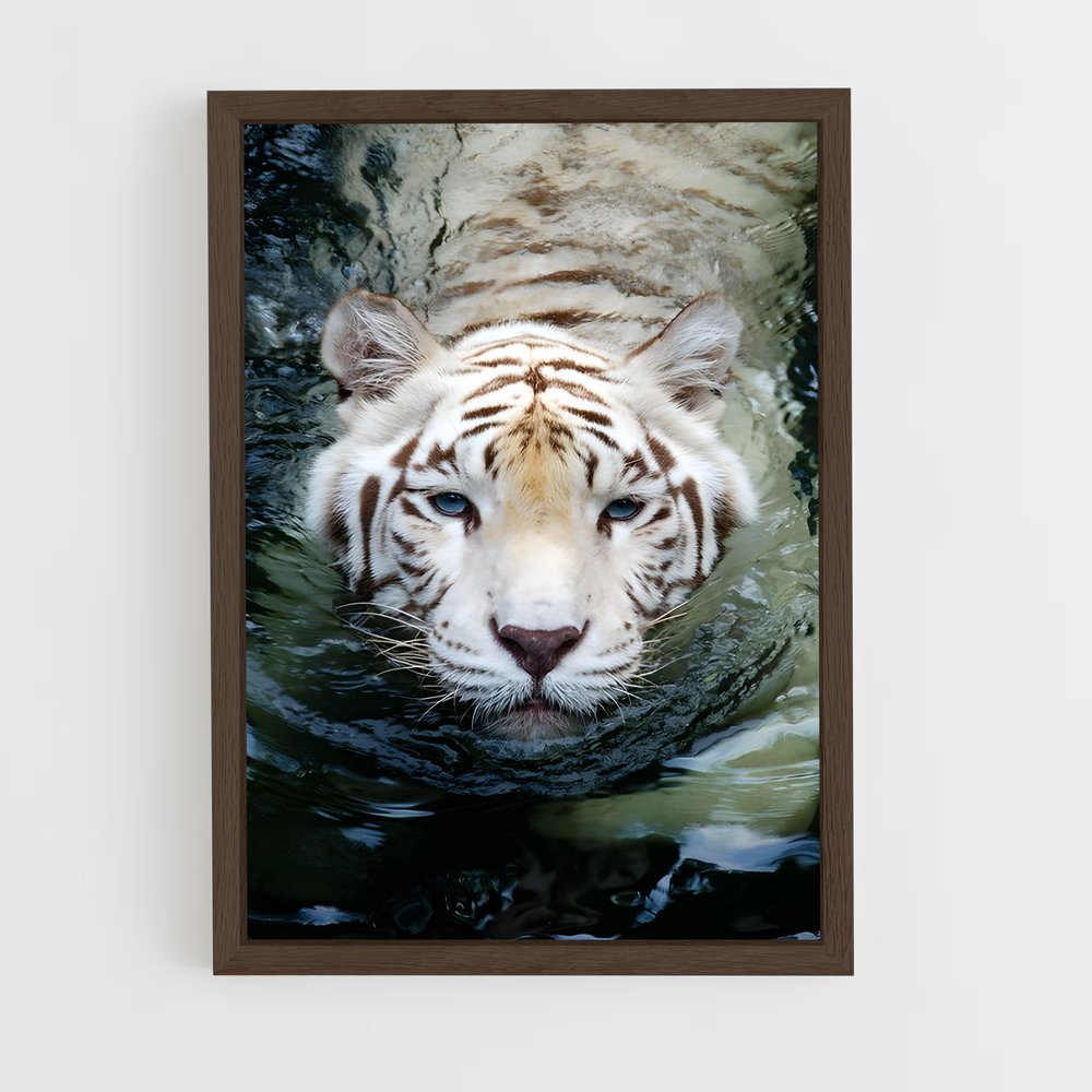 ap-white tiger-15 cadre Bois foncé