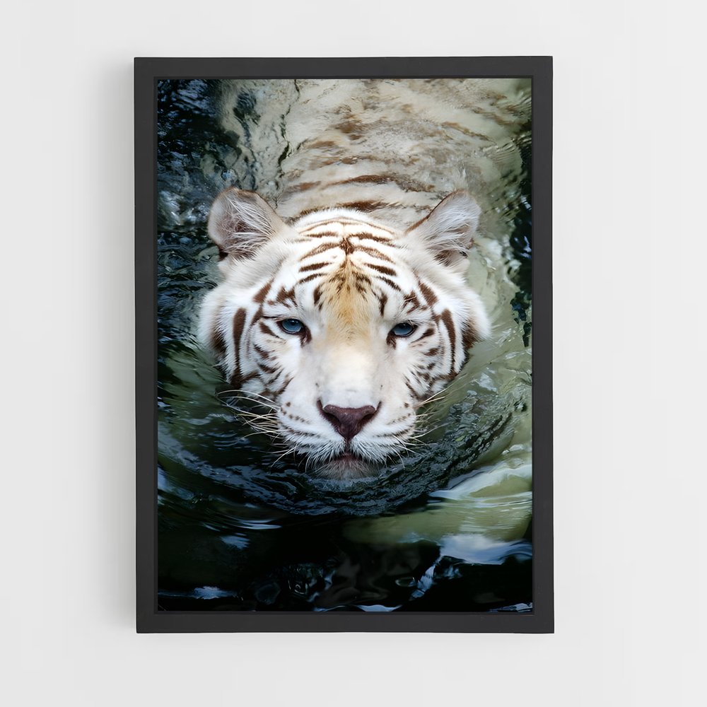 ap-white tiger-15 cadre Noir