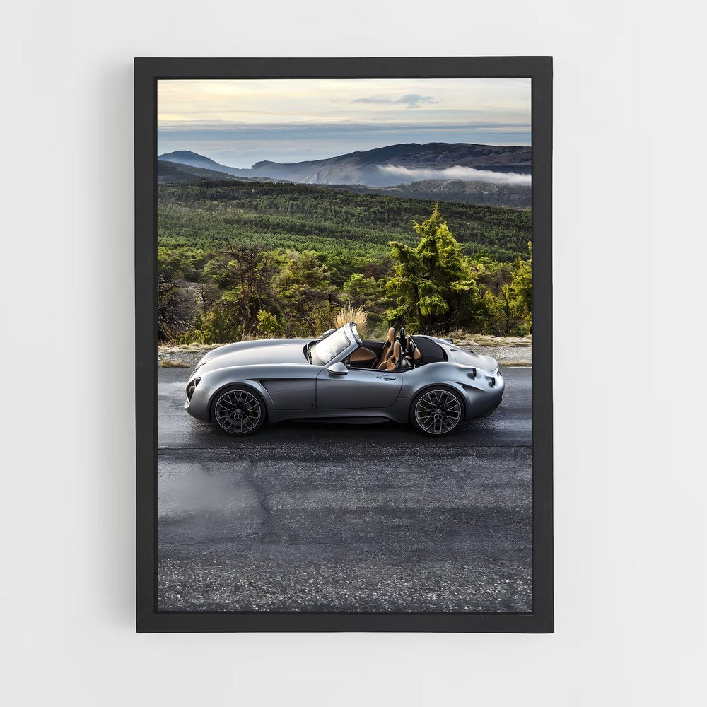 ap-wiesmann-3 cadre Noir