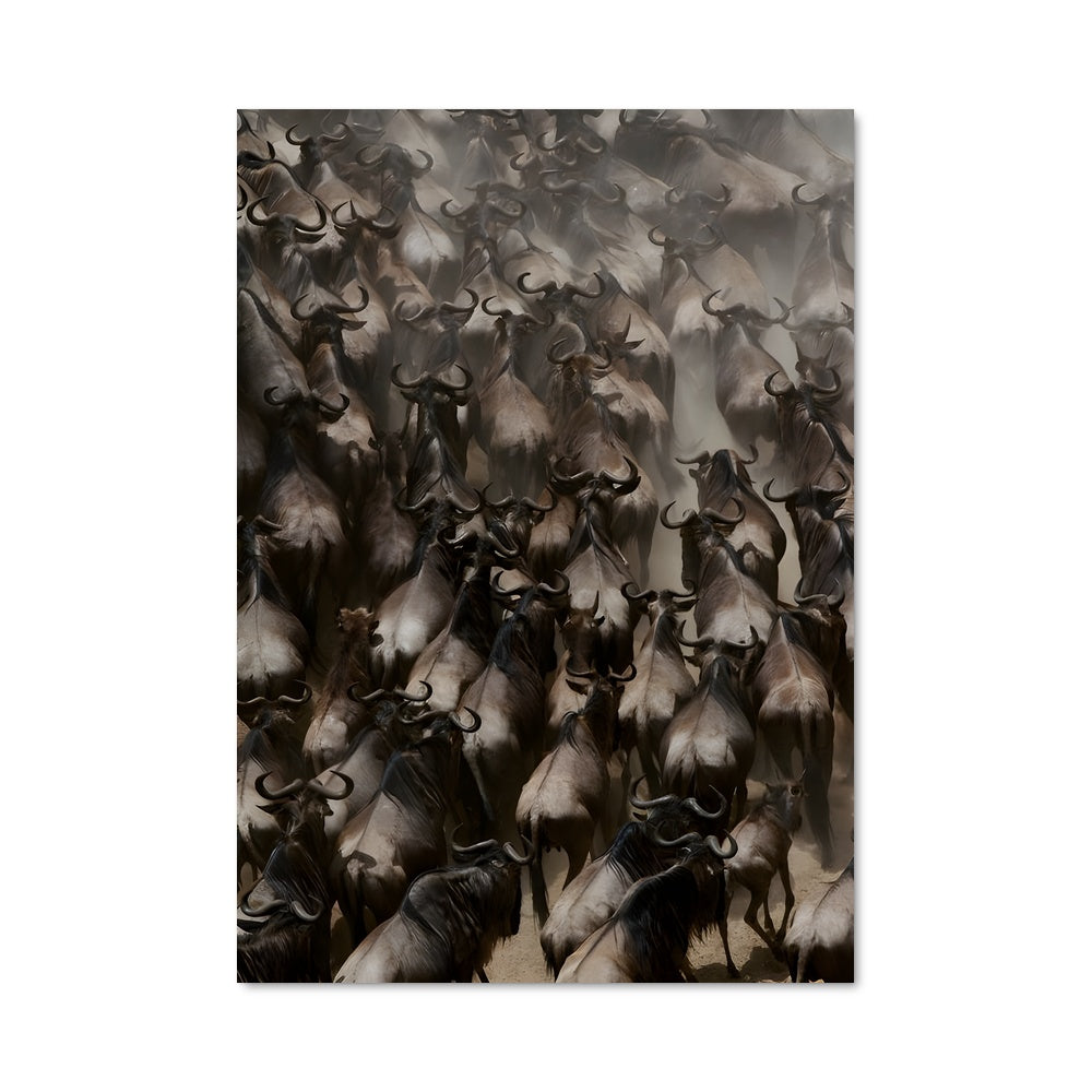 Poster La Grande Course