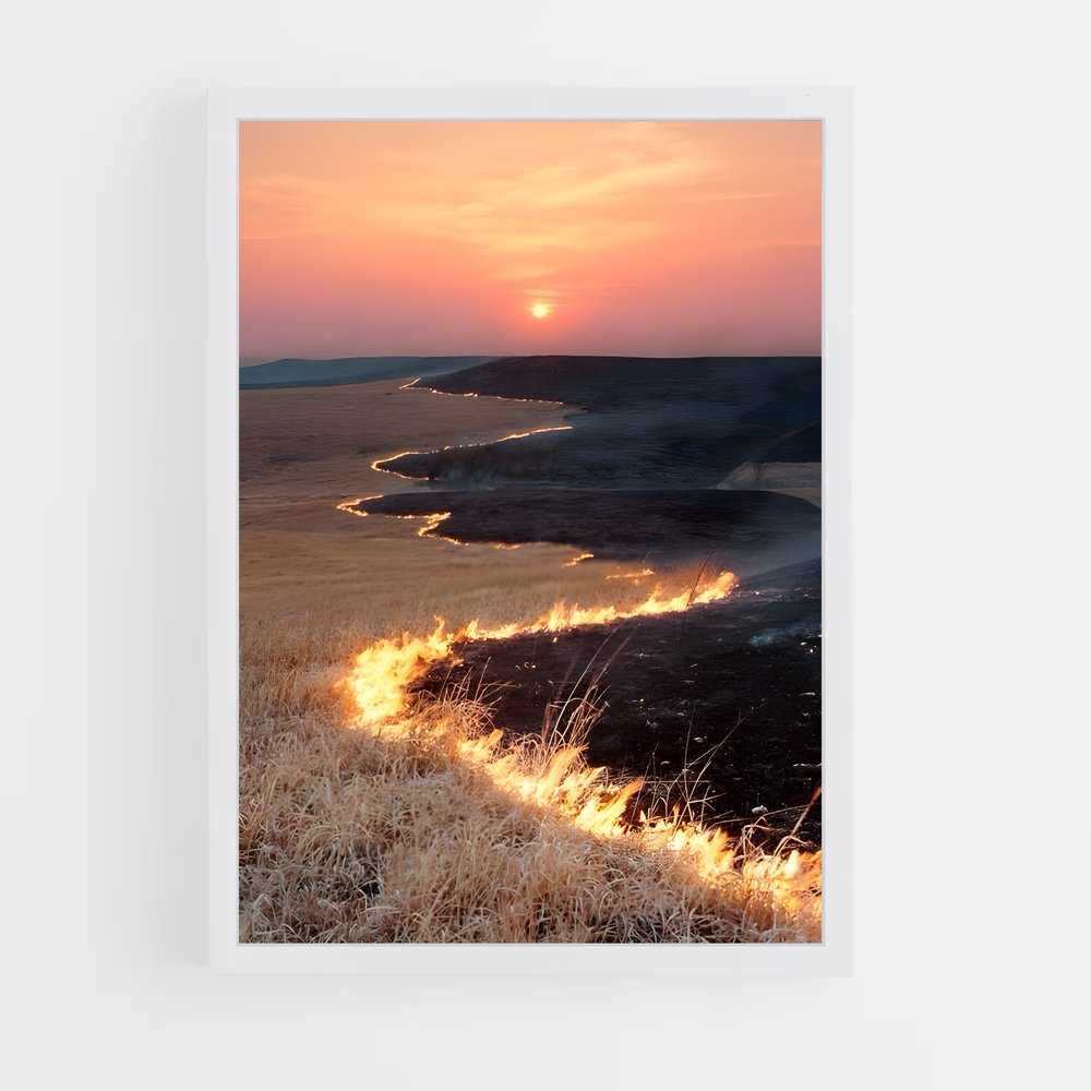 ap-wildfire-1 cadre Blanc