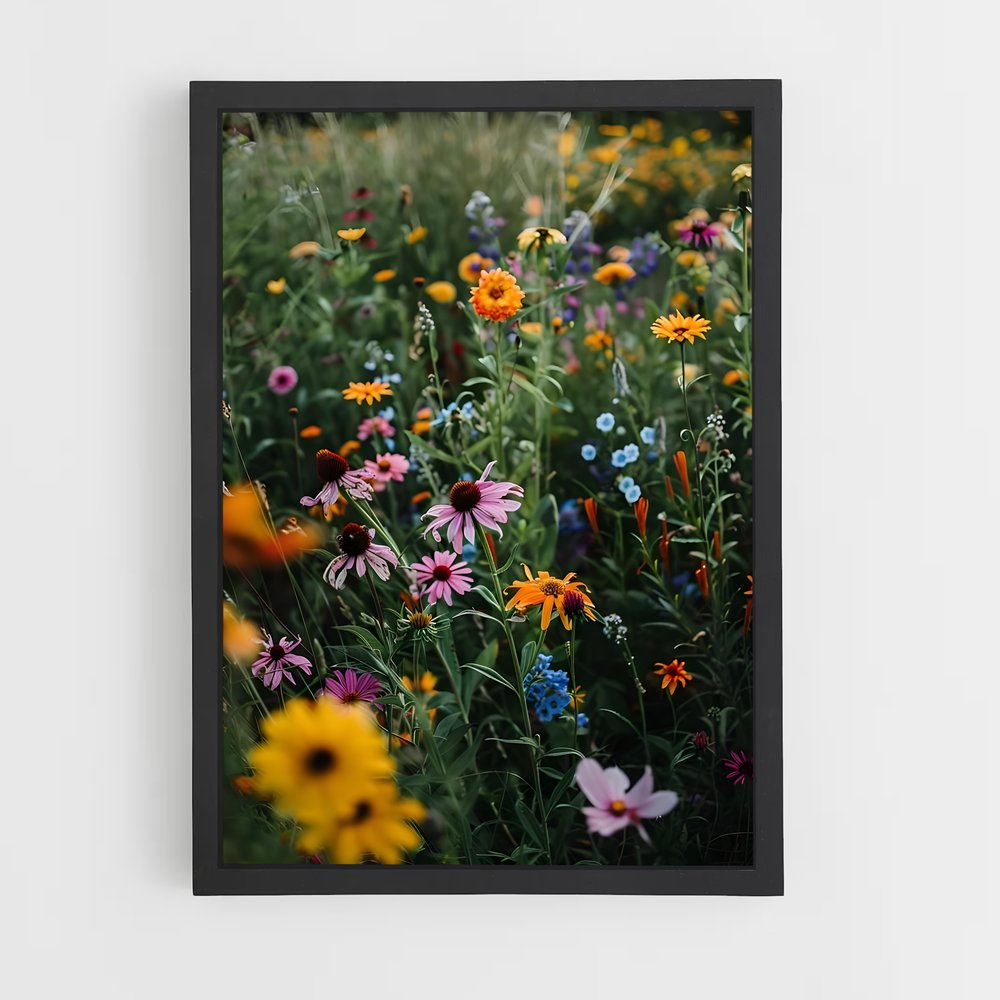 ap-wildflower bloom-3 cadre Noir
