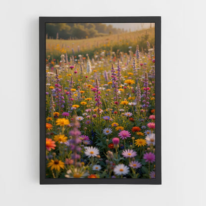 ap-wildflower field-1 cadre Noir