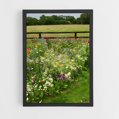 ap-wildflower field-2 cadre Noir