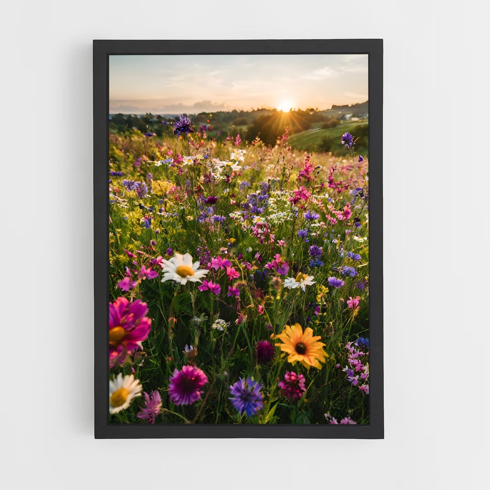 ap-wildflower field-3 cadre Noir
