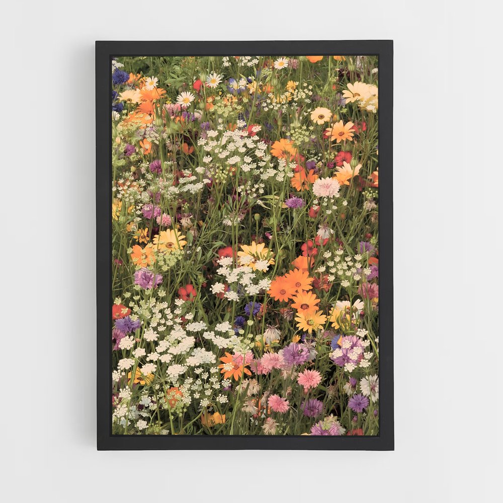 ap-wildflower field-5 cadre Noir