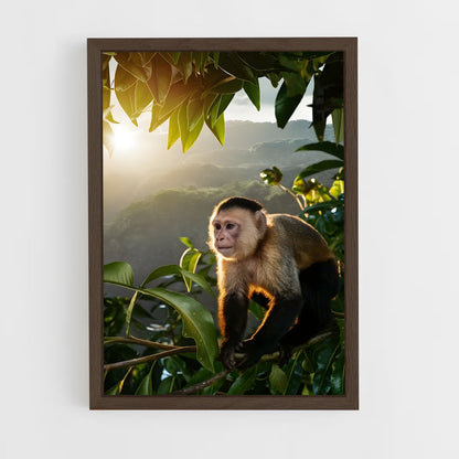 ap-wildlife habitat-1 cadre Bois foncé