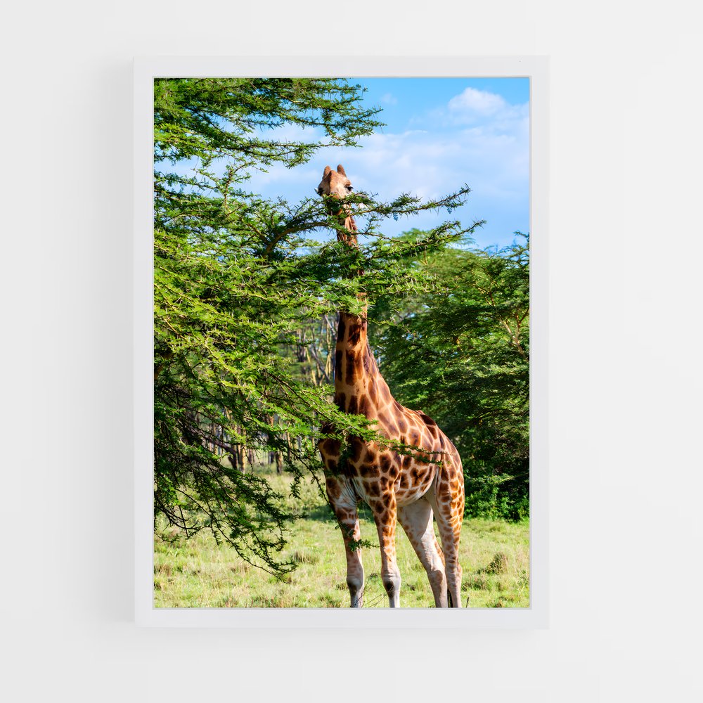 ap-wildlife habitat-2 cadre Blanc