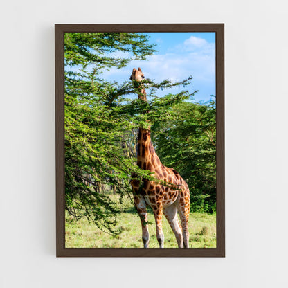 ap-wildlife habitat-2 cadre Bois foncé