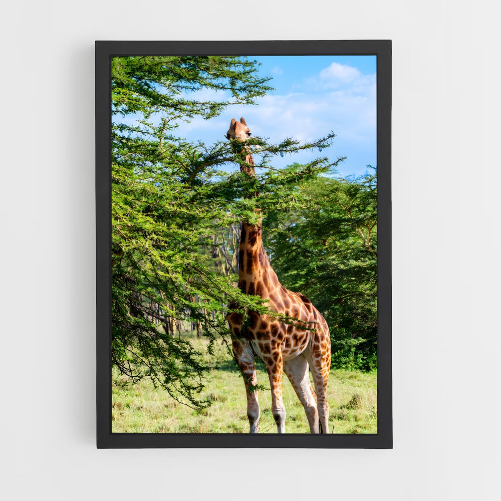 ap-wildlife habitat-2 cadre Noir