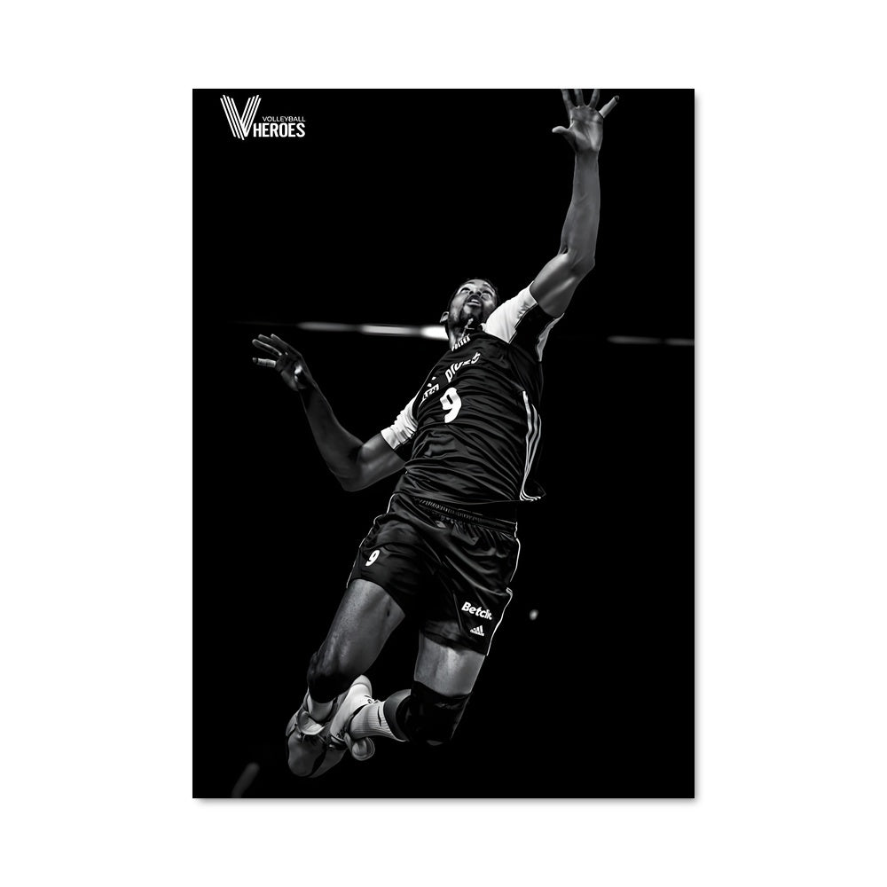 Poster Saut de Léon