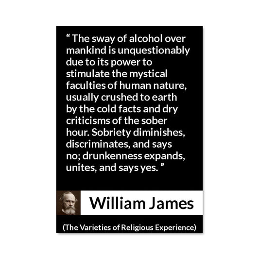 Poster La Sagesse de James