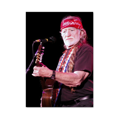 Poster Willie in Concert