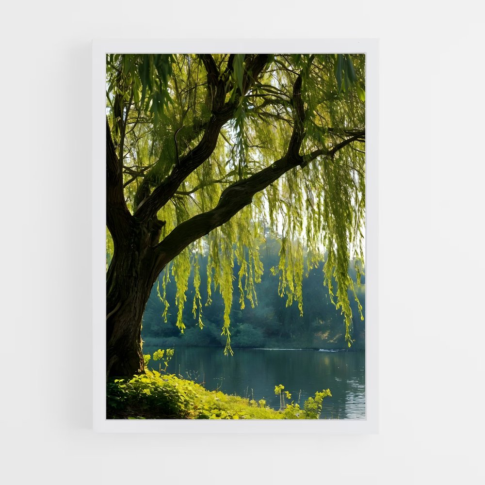 ap-willow-3 cadre Blanc