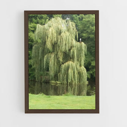 ap-willow-4 cadre Bois foncé