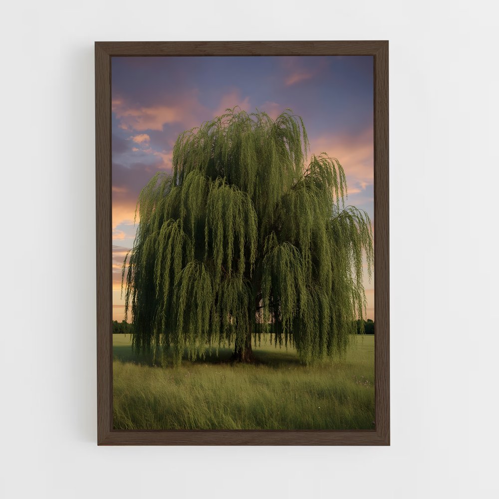 ap-willow-6 cadre Bois foncé