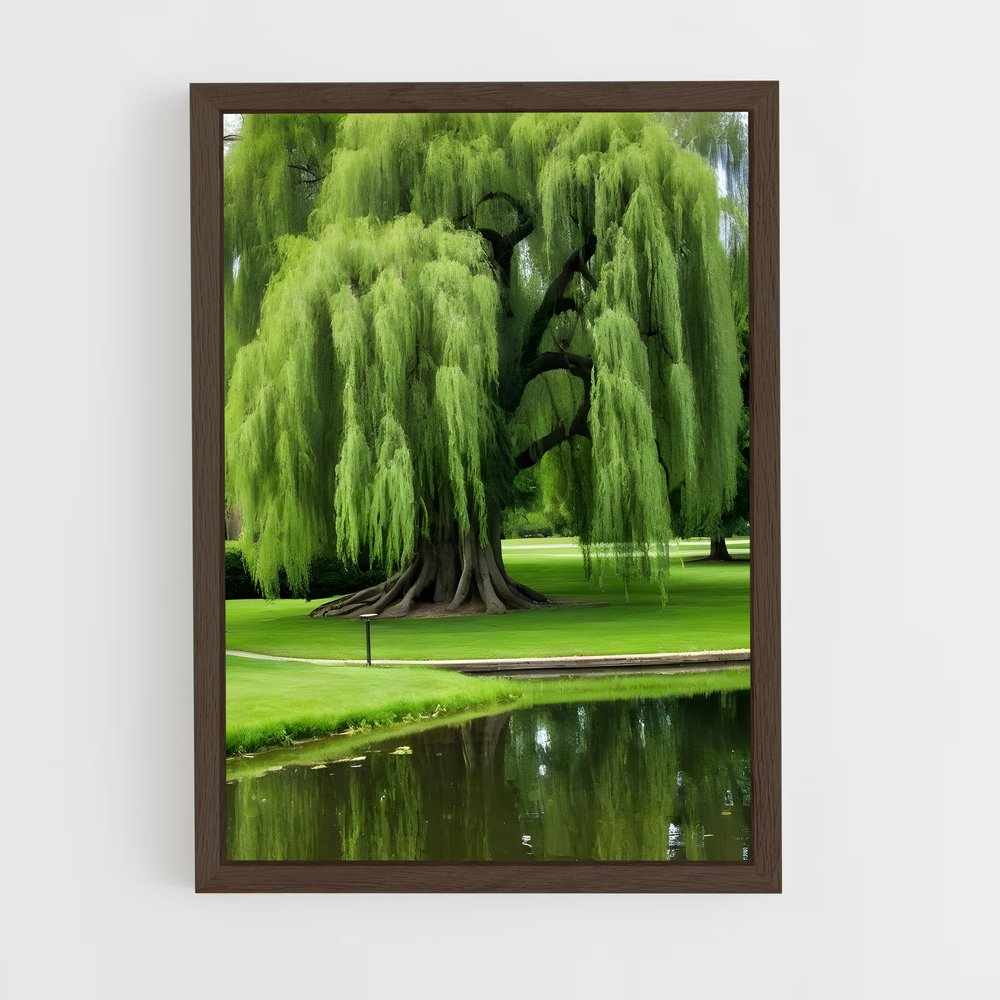 ap-willow-7 cadre Bois foncé