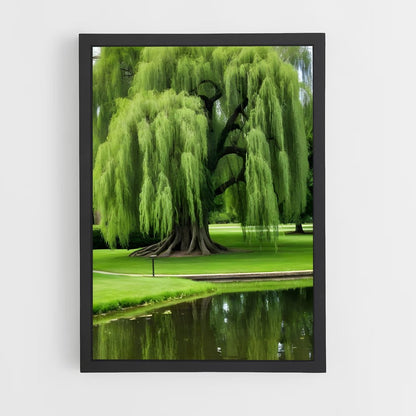ap-willow-7 cadre Noir