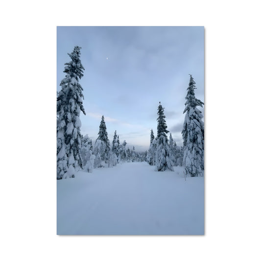 Poster Winter 97672