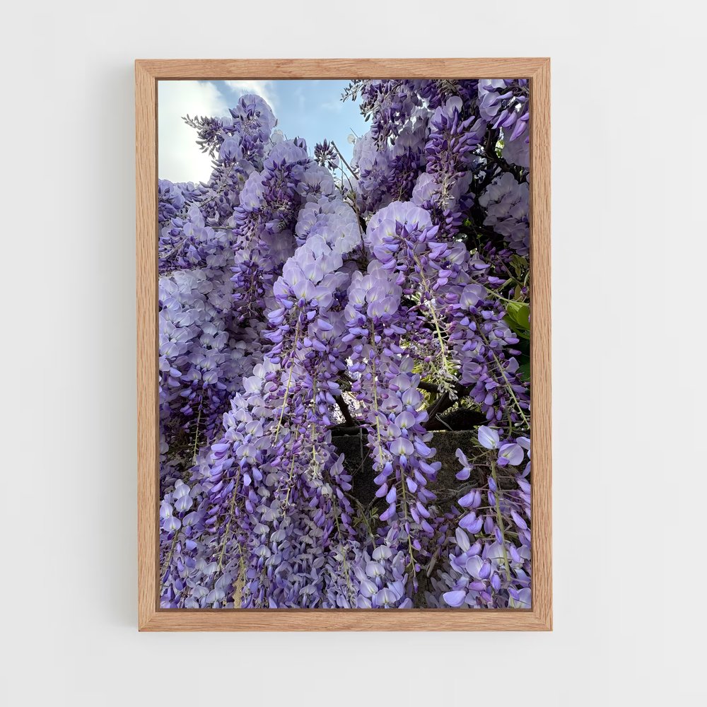 ap-wisteria-1 cadre Bois clair