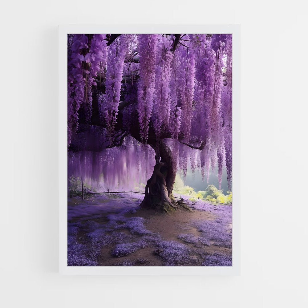 ap-wisteria-2 cadre Blanc
