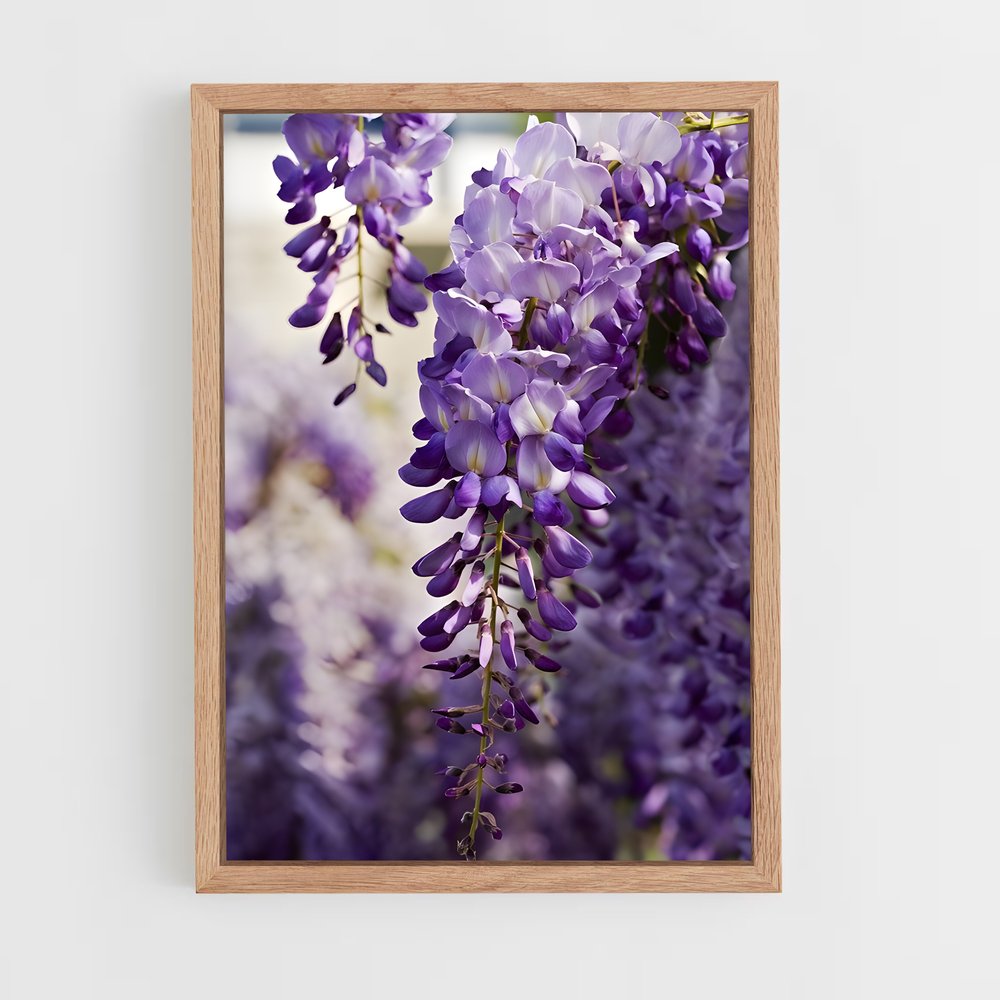 ap-wisteria-6 cadre Bois clair