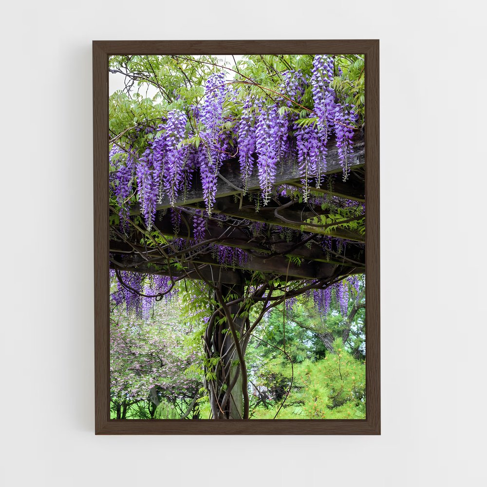 ap-wisteria-7 cadre Bois foncé