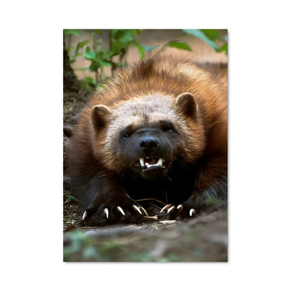 Poster L'Ultime Wolverine
