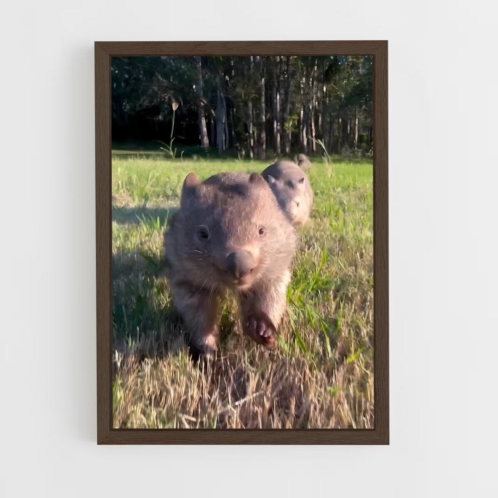 ap-wombat-4 cadre Bois foncé