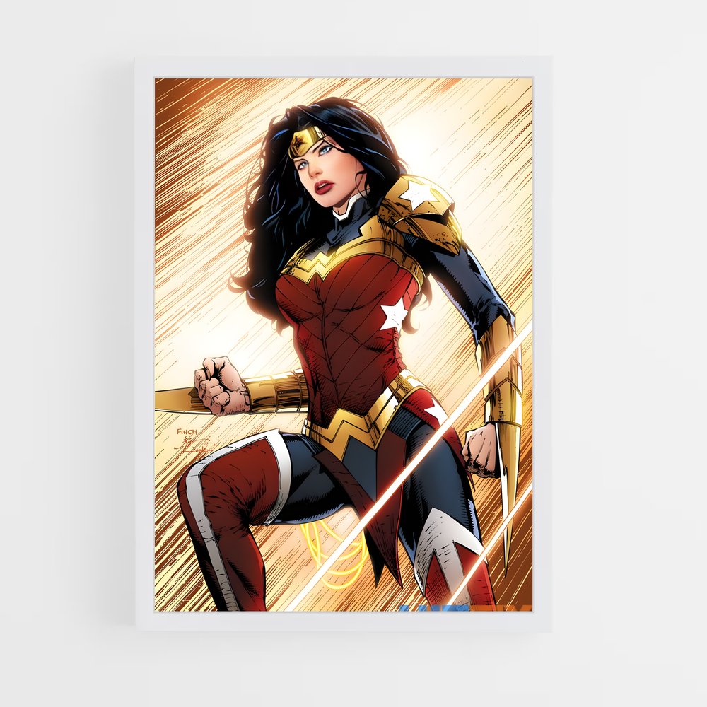 ap-wonder woman-11 cadre Blanc
