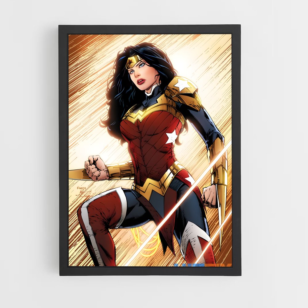 ap-wonder woman-11 cadre Noir