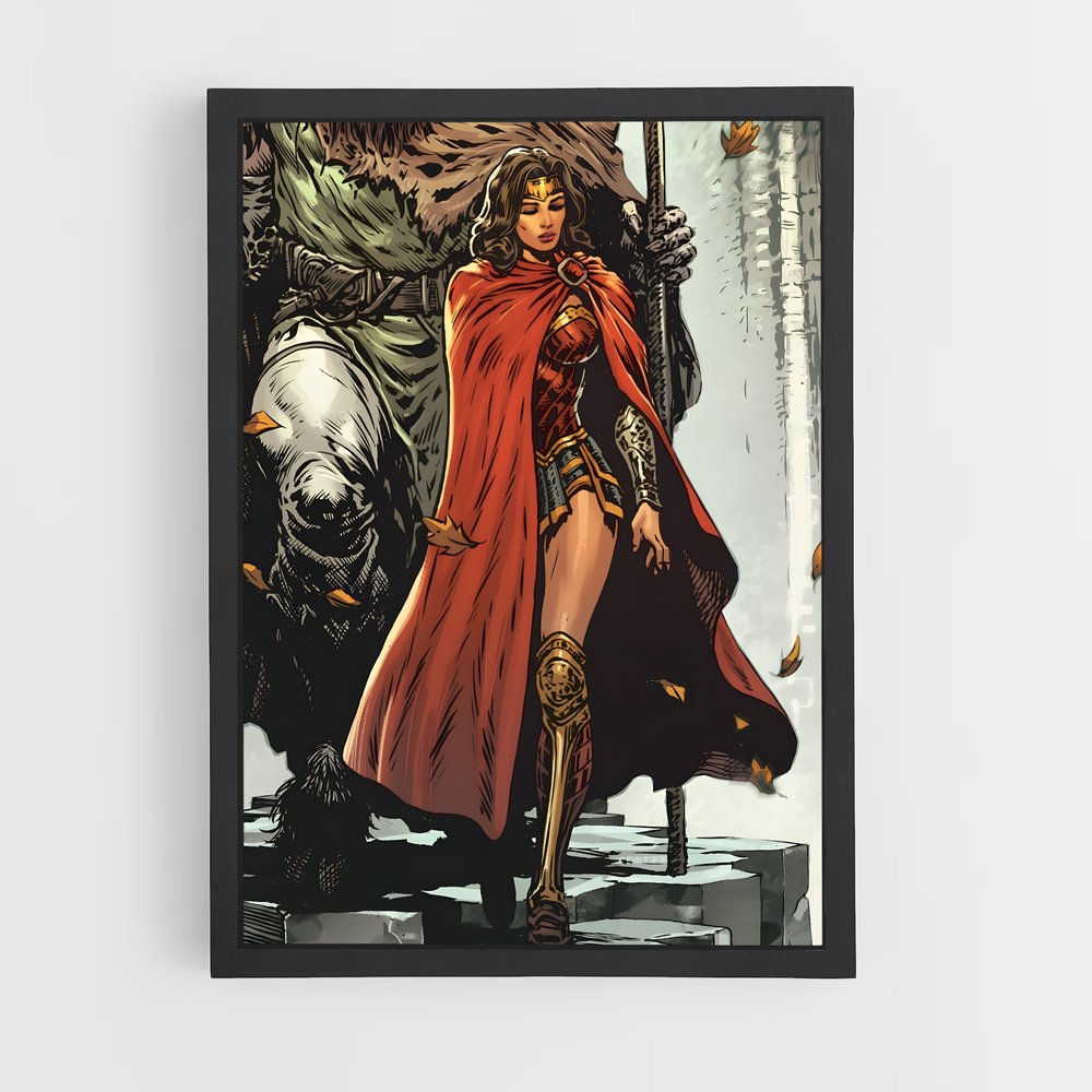 ap-wonder woman-7 cadre Noir