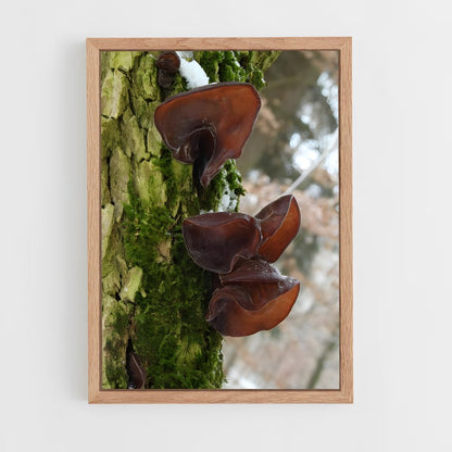 ap-wood ear-2 cadre Bois clair