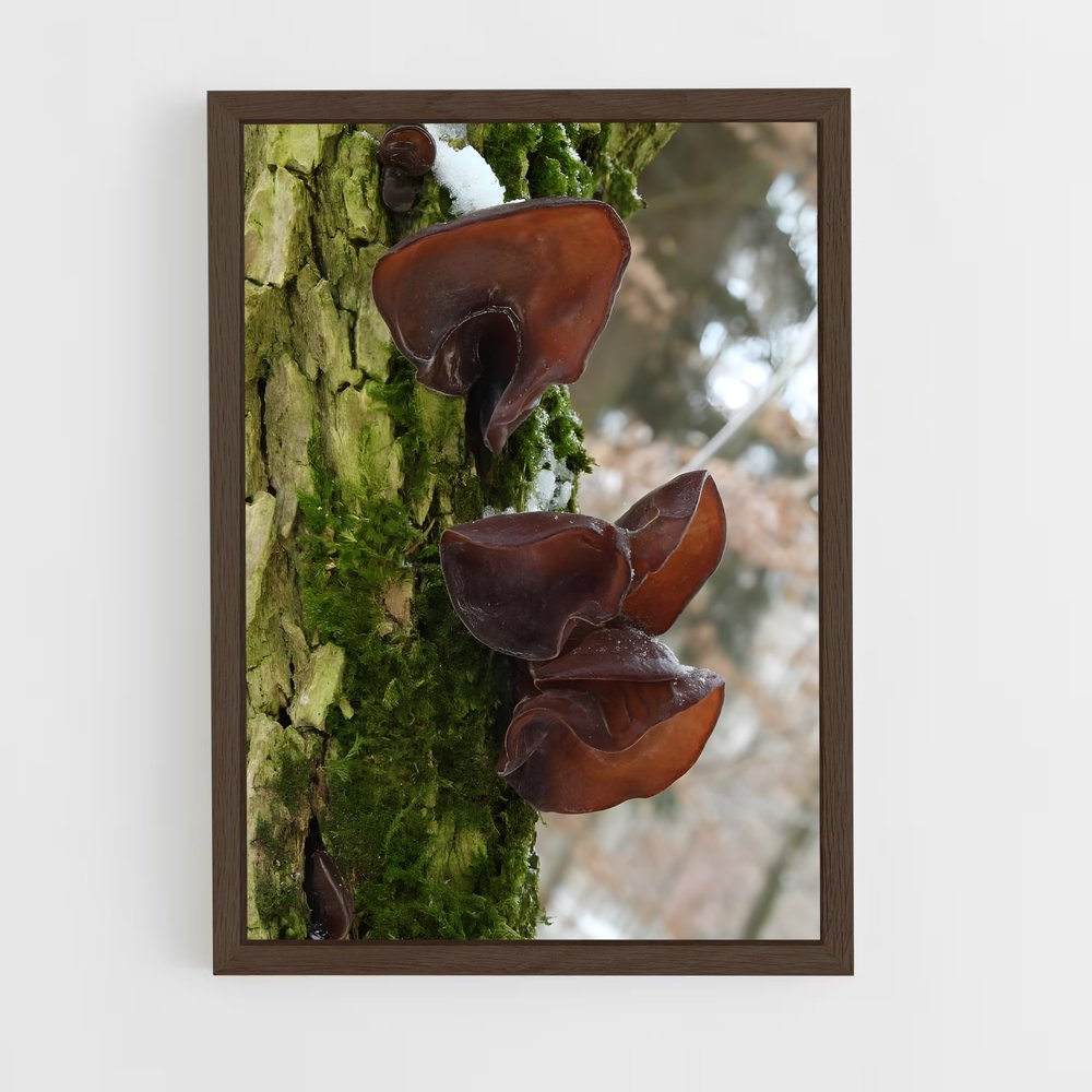 ap-wood ear-2 cadre Bois foncé