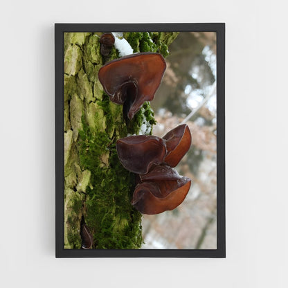 ap-wood ear-2 cadre Noir