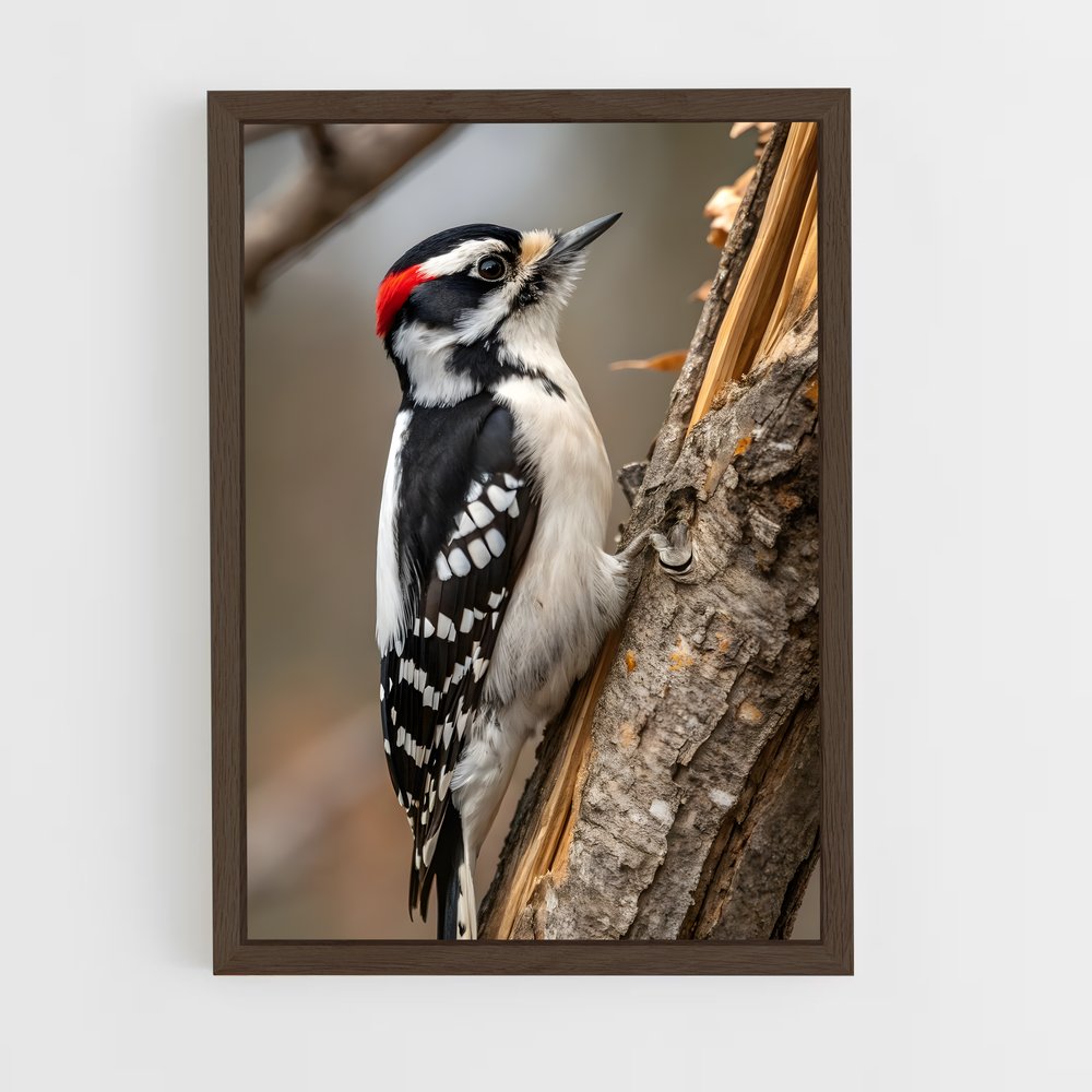 ap-woodpecker-4 cadre Bois foncé
