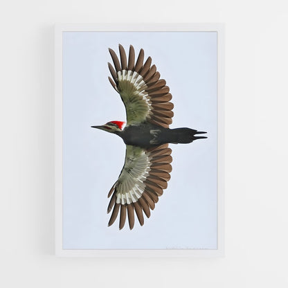ap-woodpecker-5 cadre Blanc