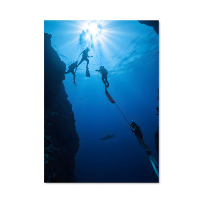 Poster World aquatics diving 67809