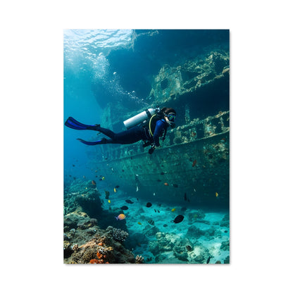 Poster Plongée en Mer Rouge
