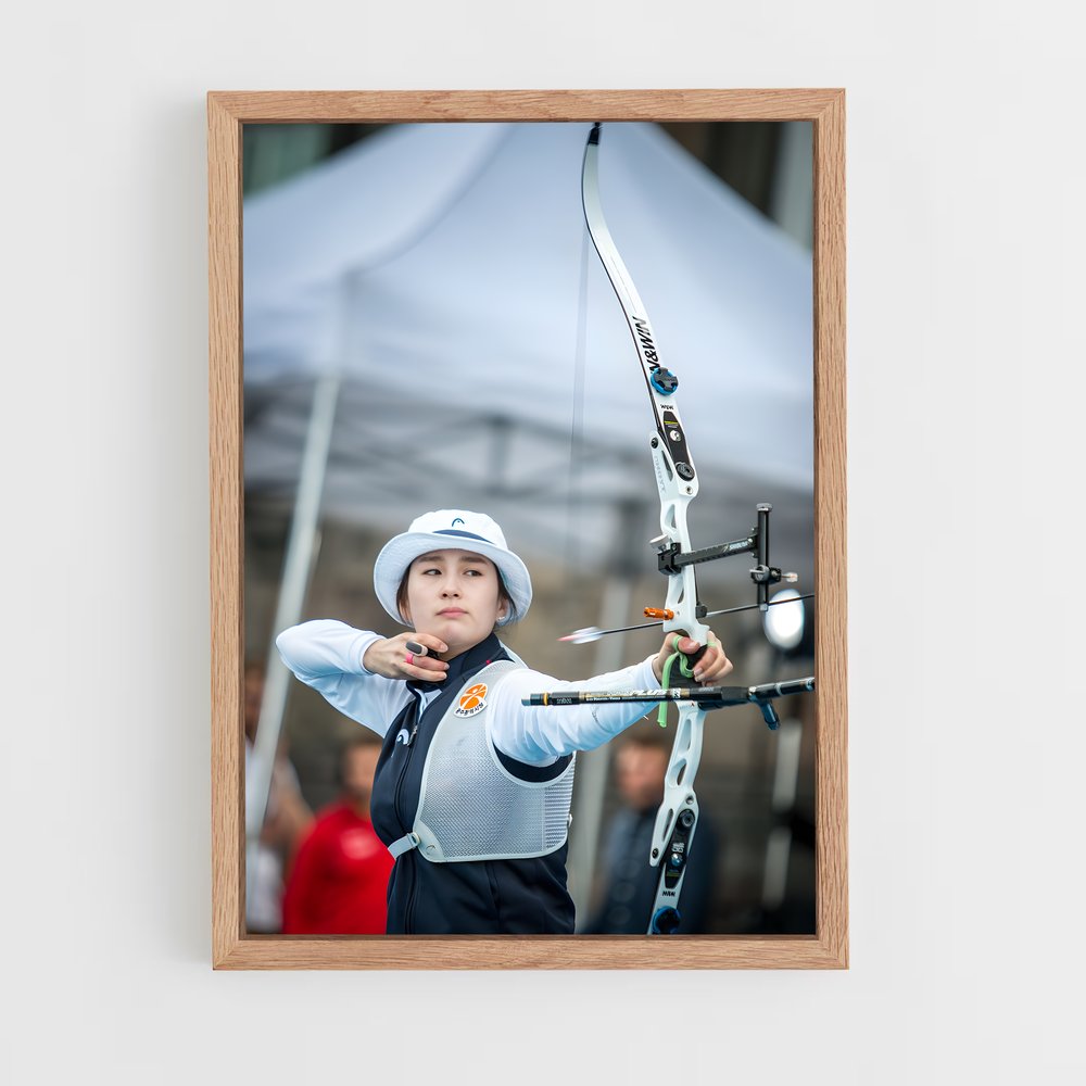 ap-world cup archery-2 cadre Bois clair
