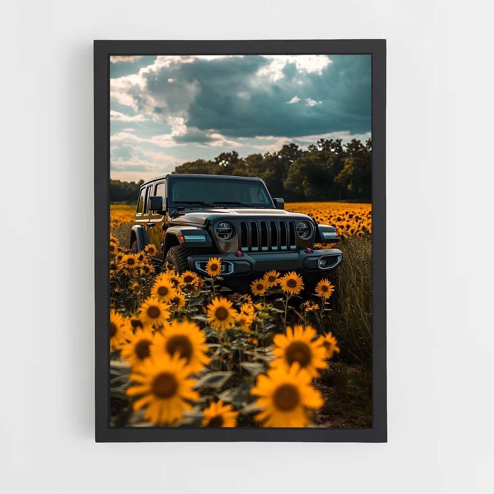 ap-wrangler rubicon-4 cadre Noir