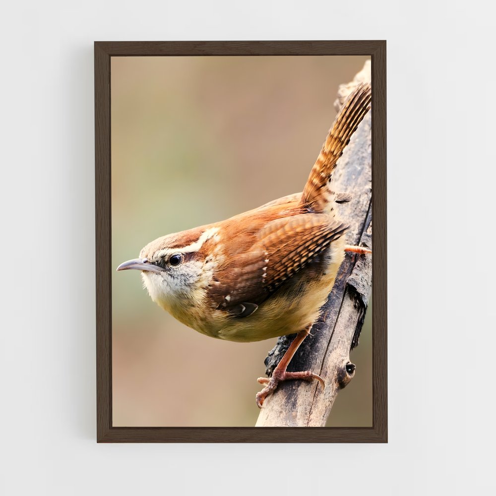 ap-wren-5 cadre Bois foncé