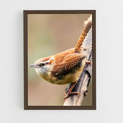 ap-wren-5 cadre Bois foncé