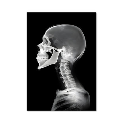 Poster Skeleton's Echo