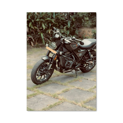 Poster Roadster en Liberté