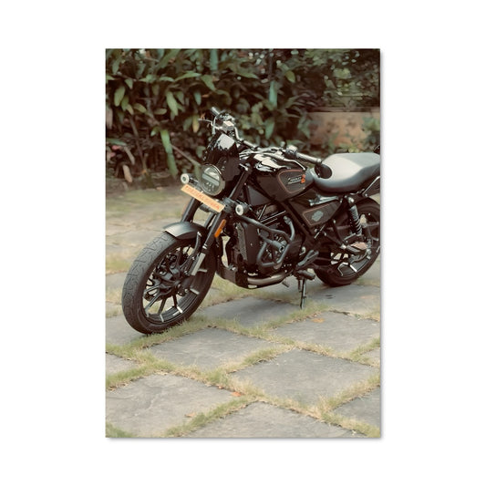 Poster Roadster en Liberté