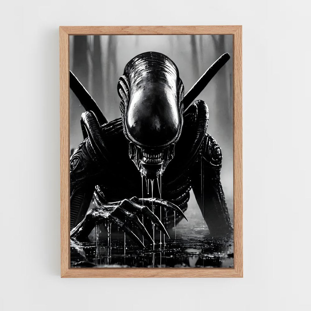ap-xenomorph-3 cadre Bois clair