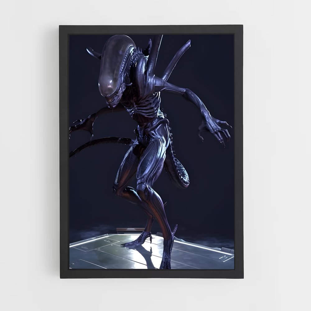 ap-xenomorph-6 cadre Noir
