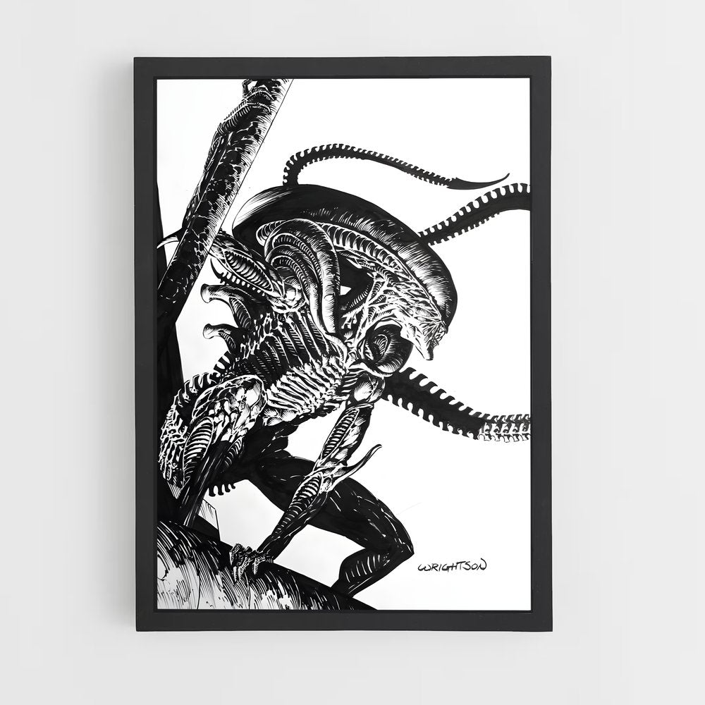 ap-xenomorph-7 cadre Noir